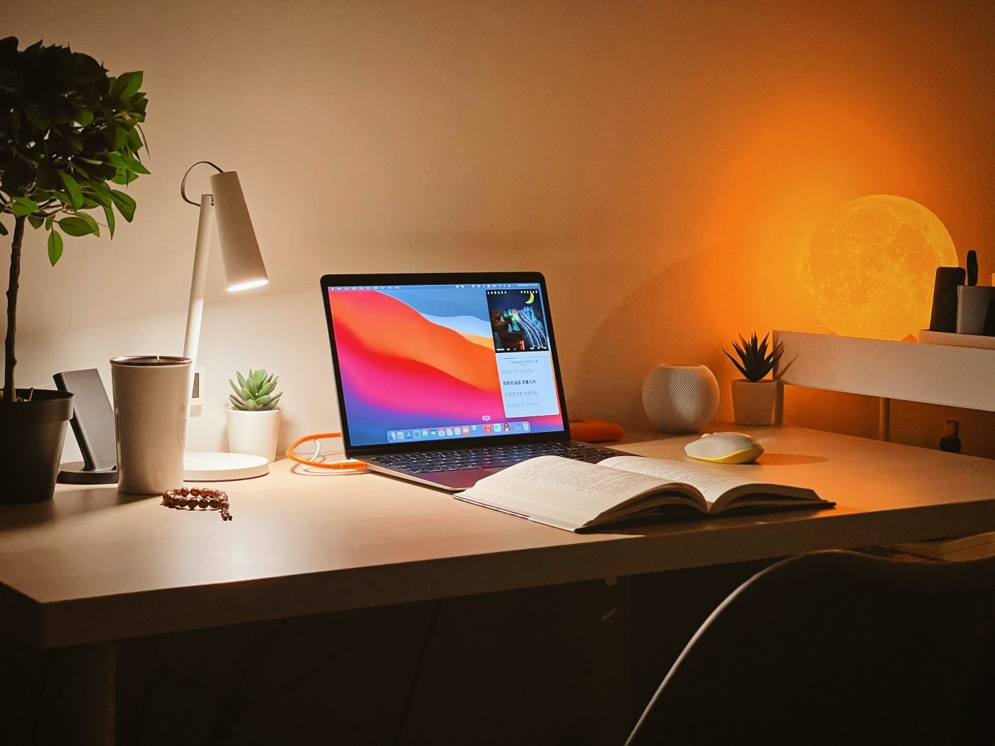 Kräutertees zur Konzentration: Lernen, Smartworking, Meditation