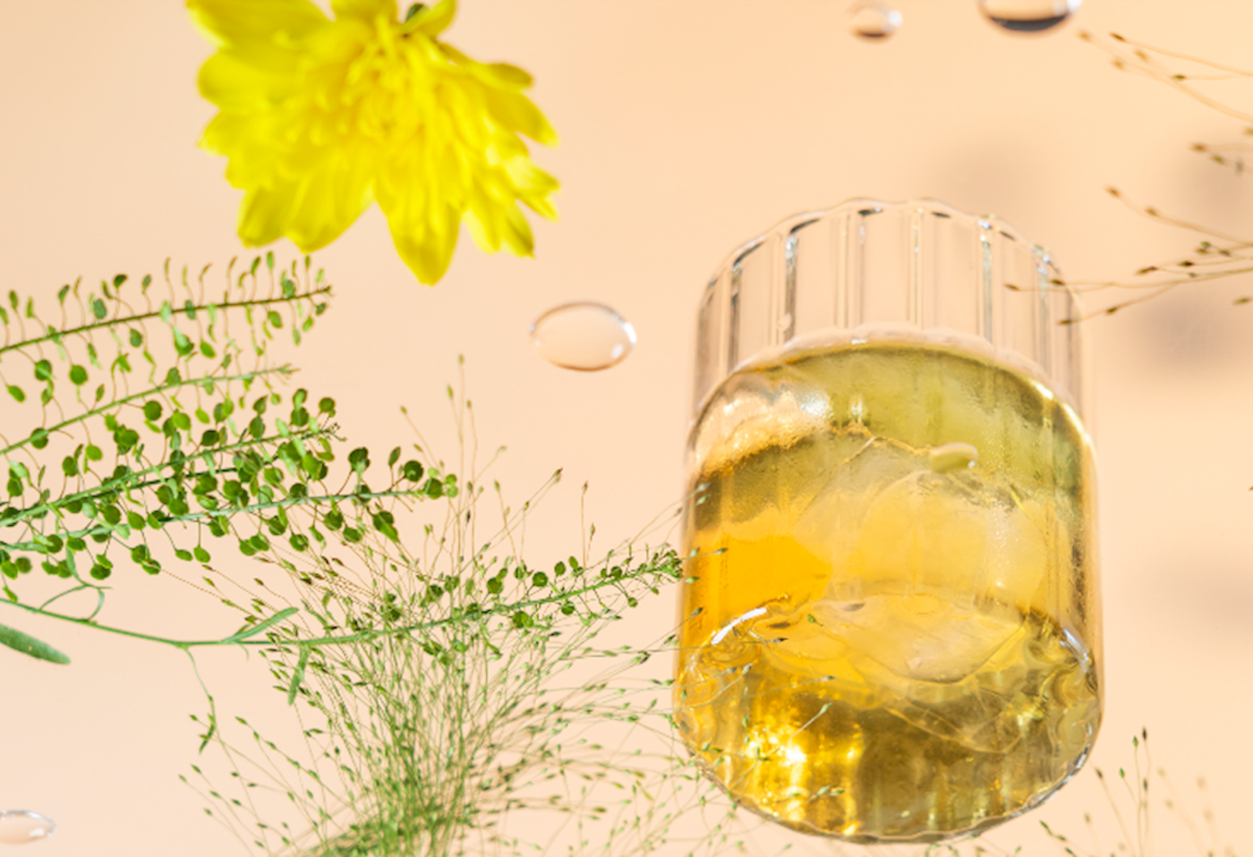 Receta de té de hierbas frío - Remedio n. 0 - Mañana