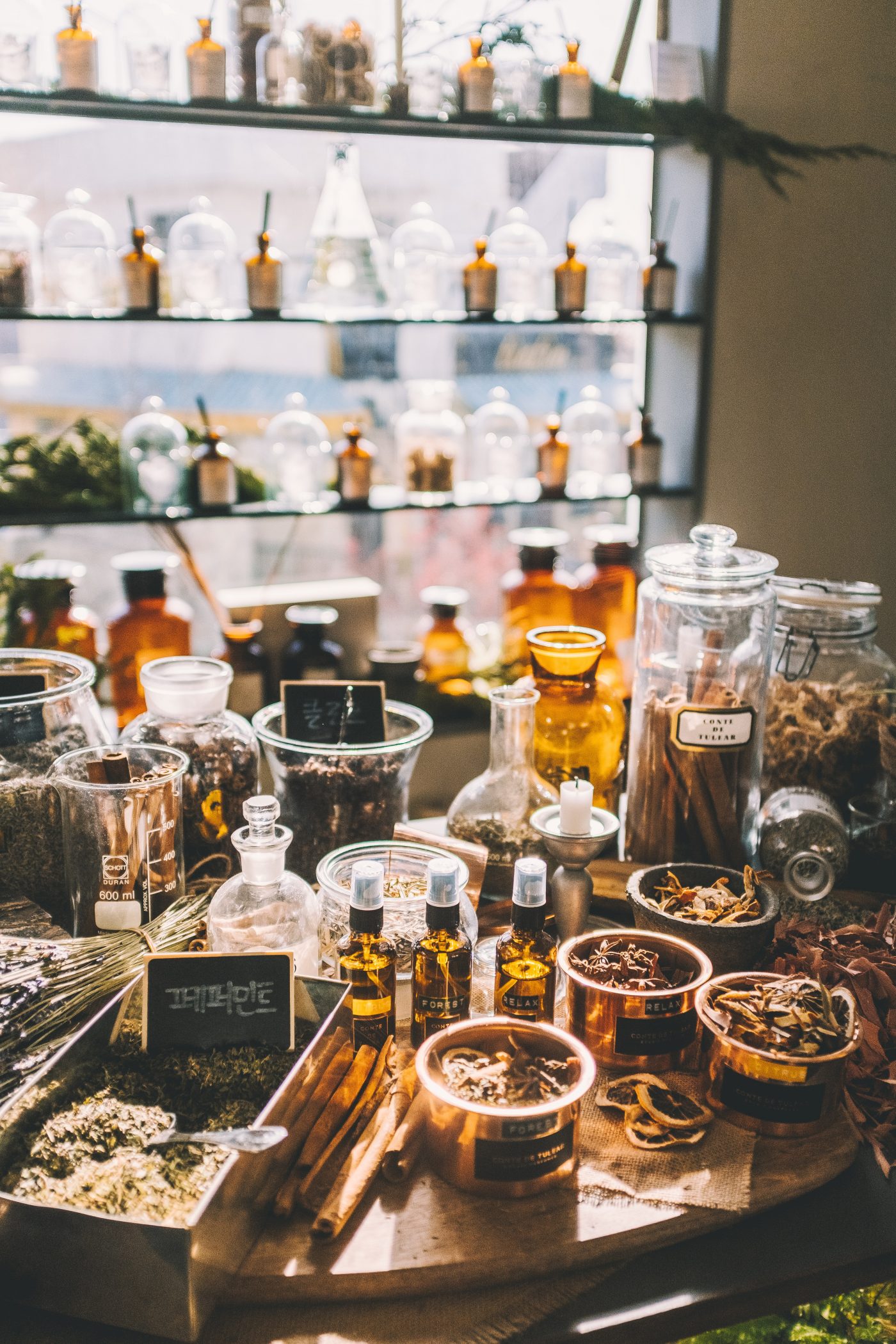 Treating yourself with plants: what is herbalism and the properties of plants that are good for health