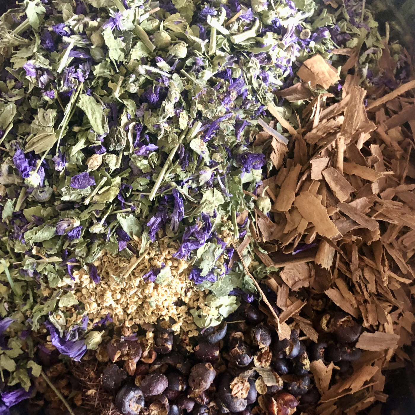 Cistite e infezioni del tratto urinario: cosa sono e come curarle con le piante officinali