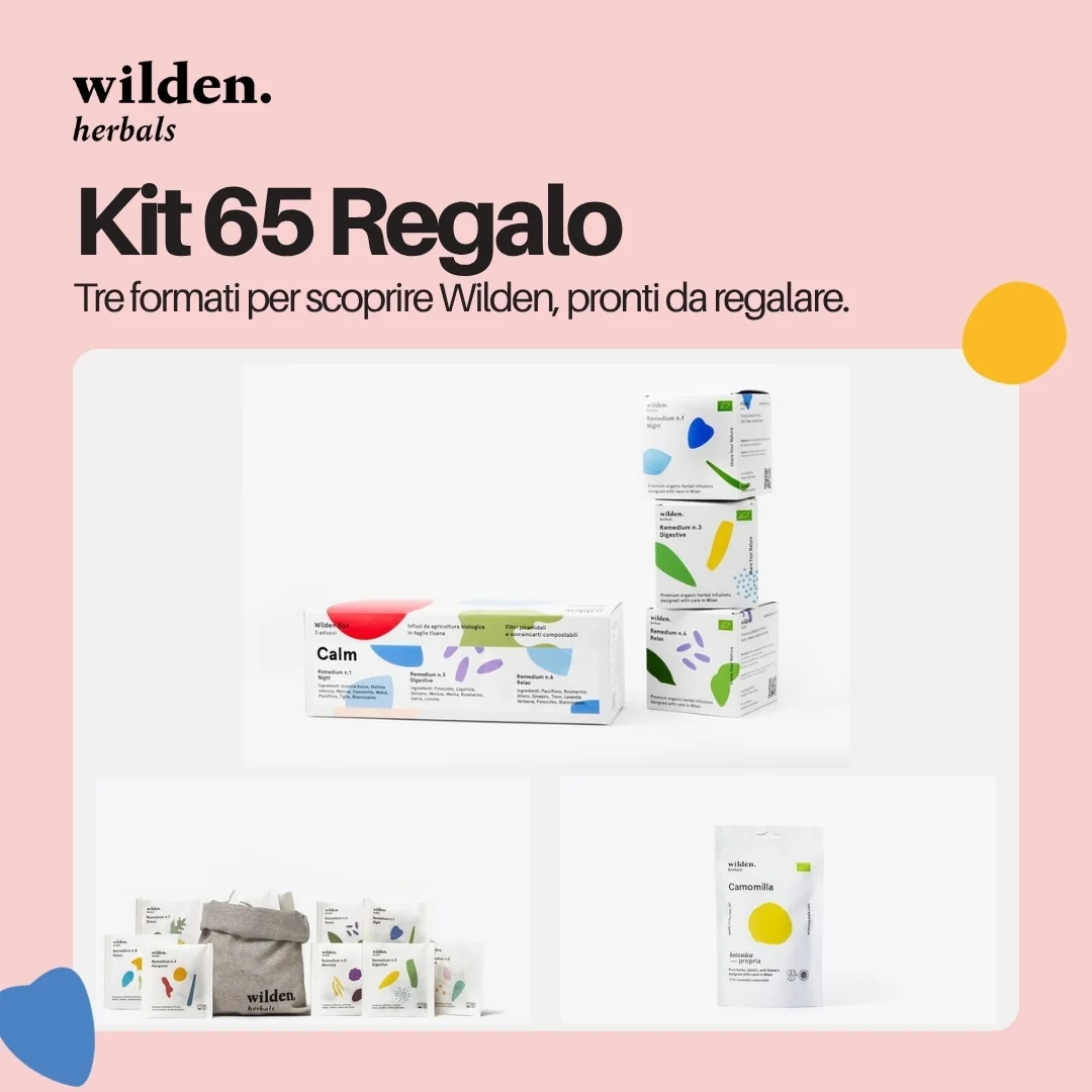 Kit 65 Regalo
