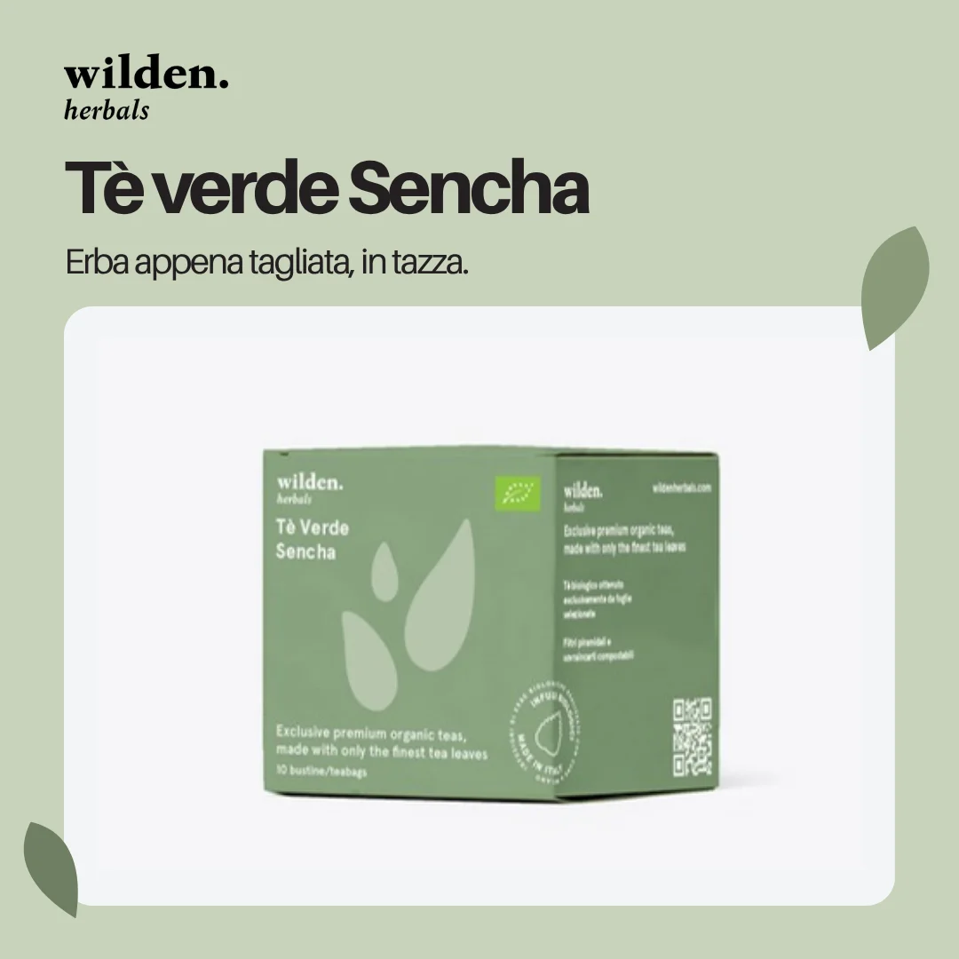 Tè verde Sencha Wilden, astuccio 10 bustine