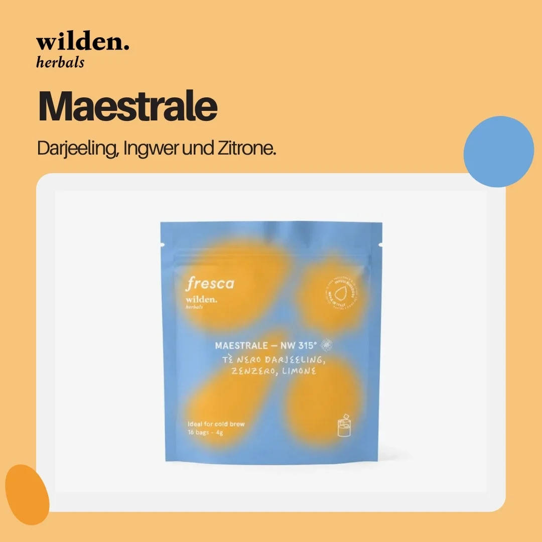 Wilden Maestrale