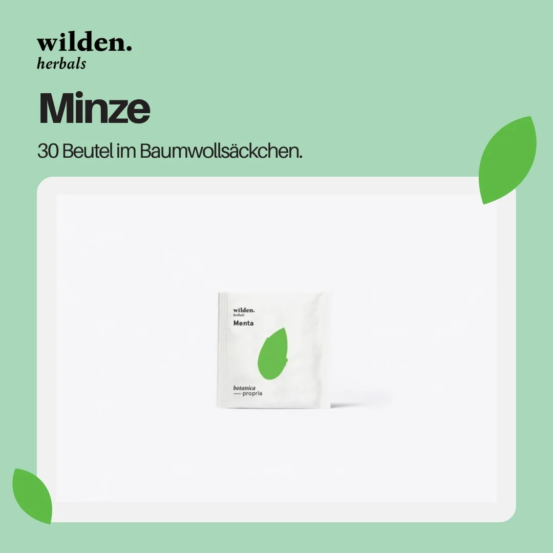 Wilden Menta 30 bustine cotone