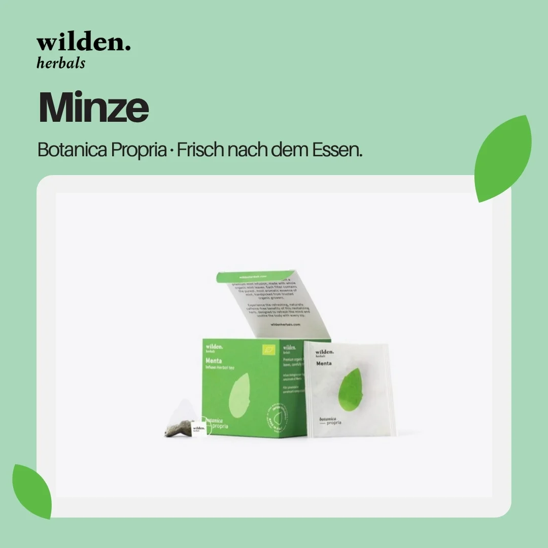 Wilden Menta astuccio